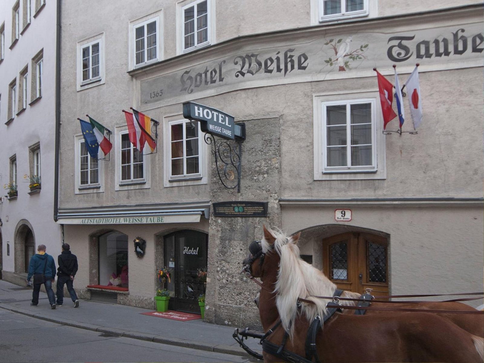 Altstadthotel Weisse Taube — photo 2